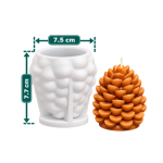 Pinecone Mold