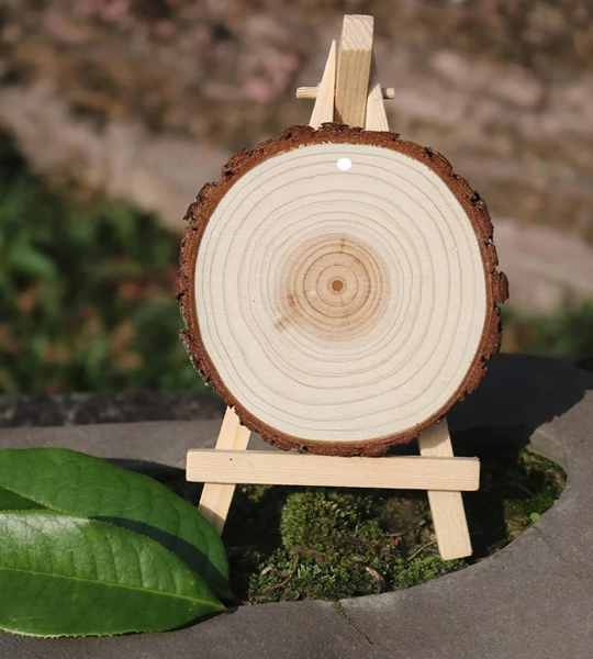 Natural Wood Slices Pine Wood Rounds for Painting & Crafts
