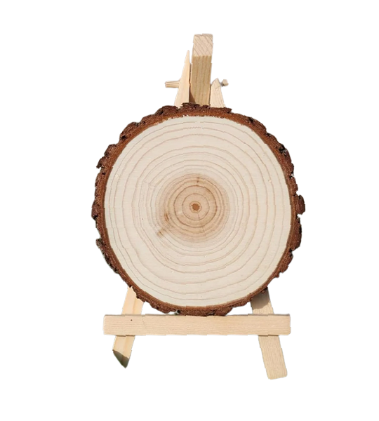 Natural Wood Slices Pine Wood Rounds for Painting & Crafts