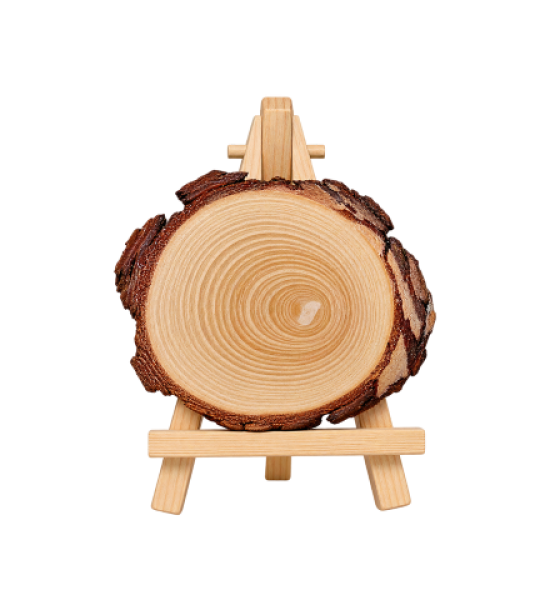 Wooden Tree Slice Display Easel
