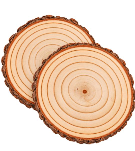 Natural Wooden Tree Slice