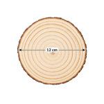 Natural Wooden Slice with Bark Edge – 12 cm